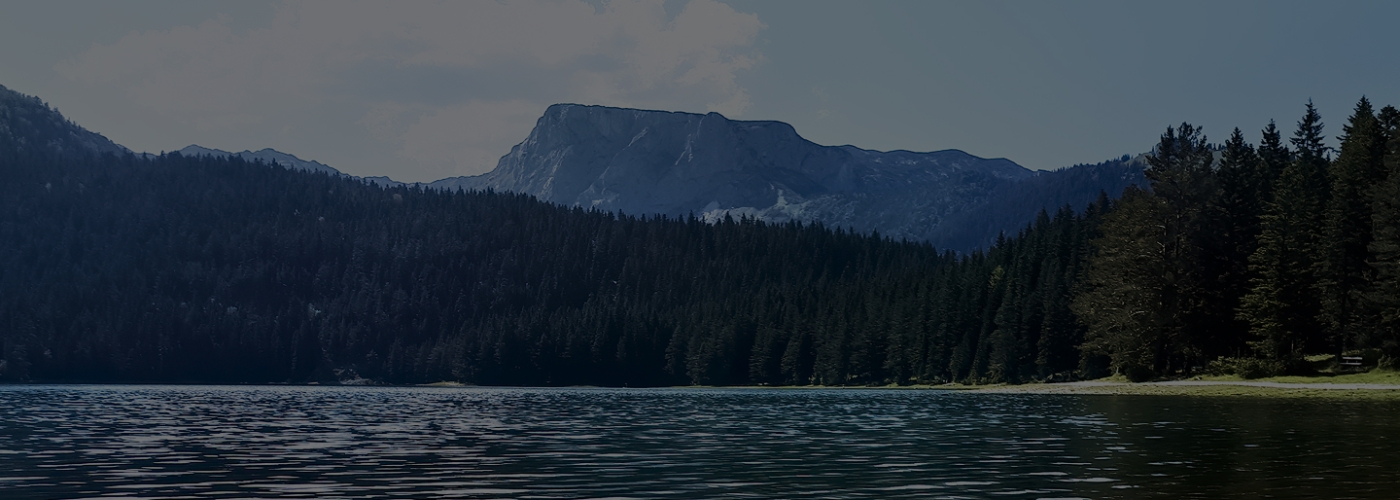 Где сдать отходы?