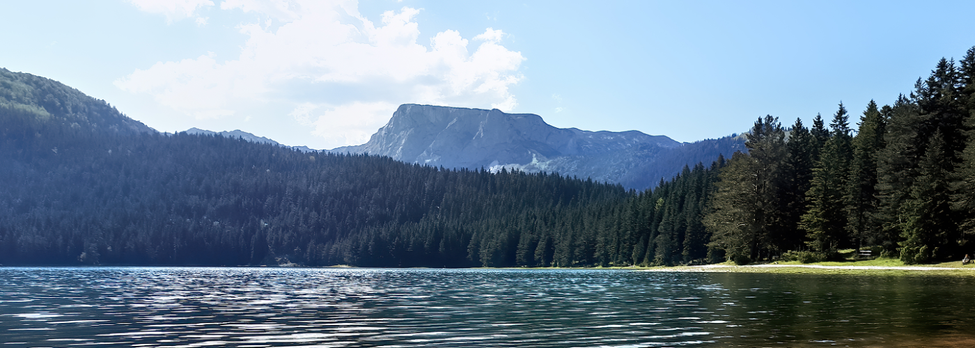 Де здати відходи?