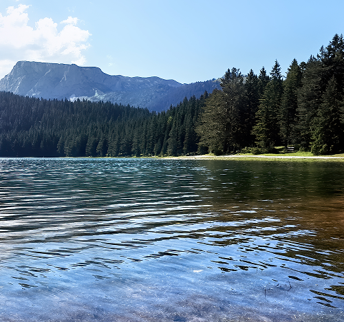 Наш
внесок Наш
внесок