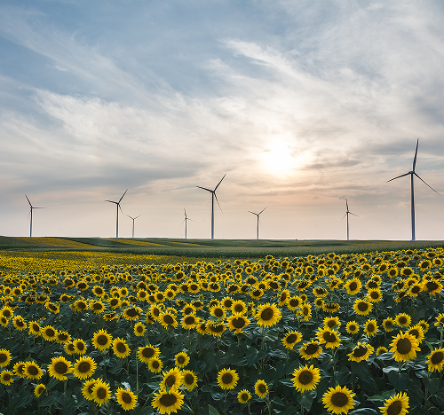 Чому це Важливо?